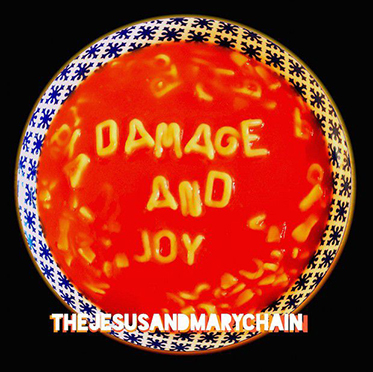 Damage And Joy